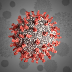 photo of Coronavirus could be seasonal, slowed by warm weather, new research finds image