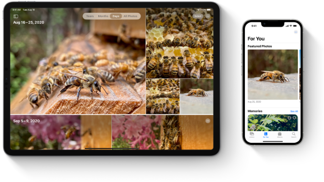 photo of Apple extends new core technology fee to iPadOS apps in the EU image