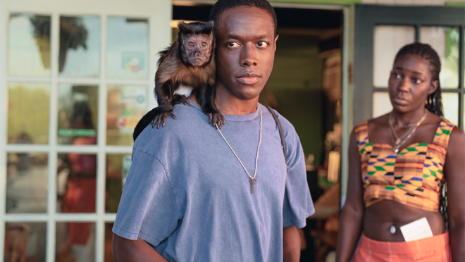 photo of PETA slams Apple TV+ series ‘Bad Monkey’ claiming ‘animal exploitation’ image